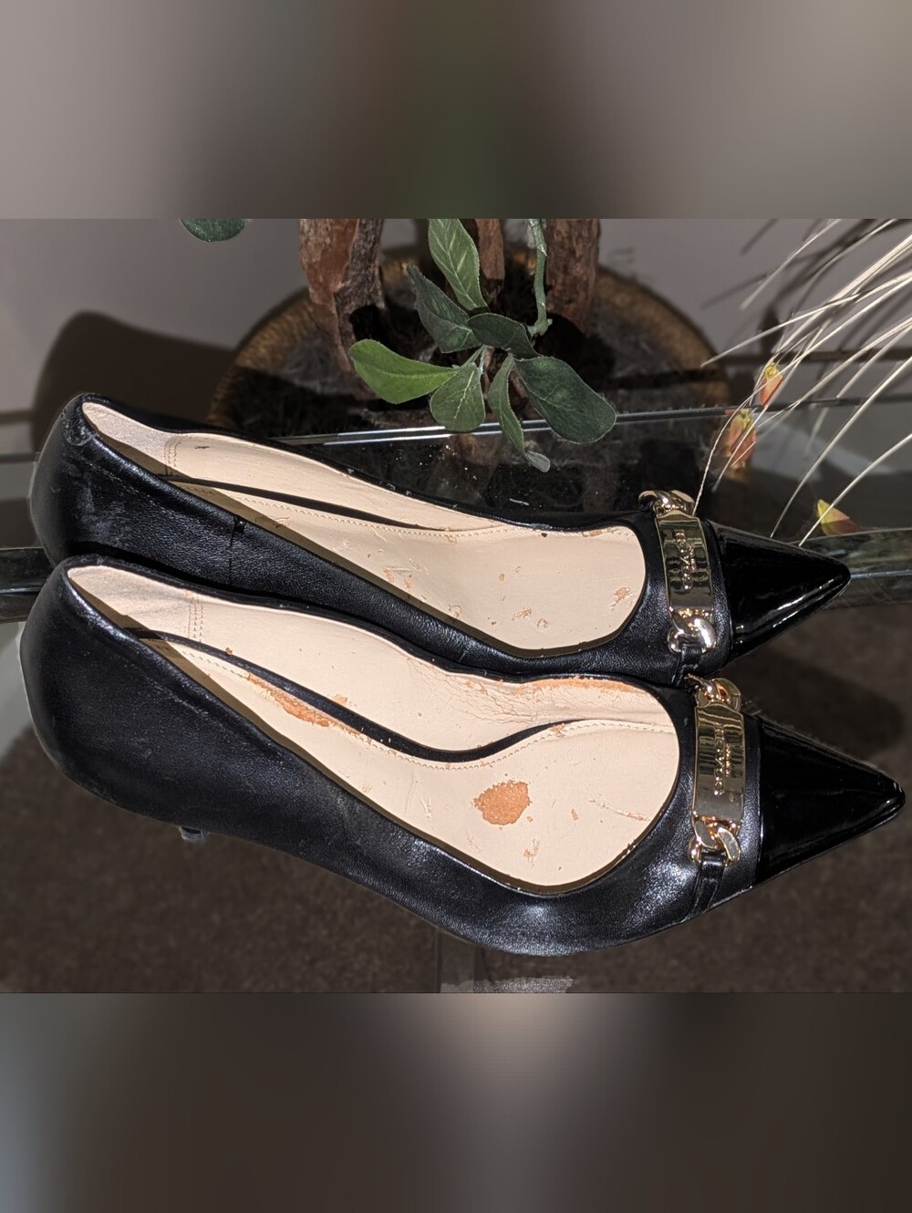 Coach Heels - Picture 7 of 12
